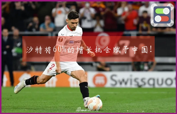 沙特将60%的增长机会赋予中国！