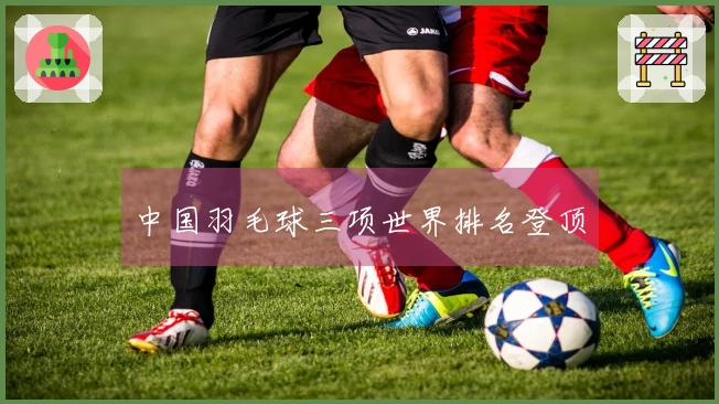 中国羽毛球三项世界排名登顶